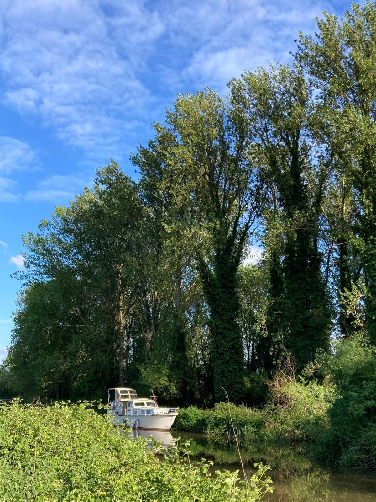 Dutch Cruiser Ship On A Tranquil Secluded River Tonbridge Buitenkant foto